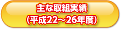 主な取組実績(平成22～26年度)